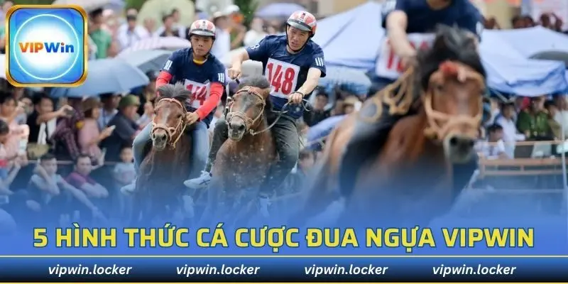 5 hình thức cá cược đua ngựa VIPWIN phổ biến nhất
