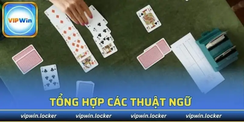 Việc hiểu rõ các thuật ngữ phổ biến là rất quan trọng
