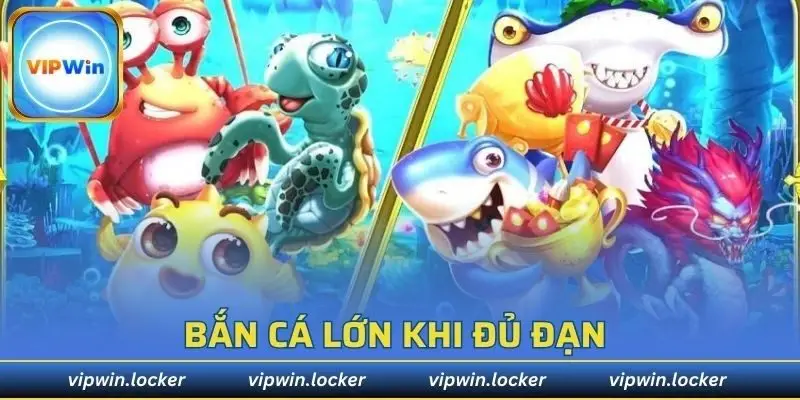 Hội viên chỉ nên chọn cá lớn khi có đủ số đạn