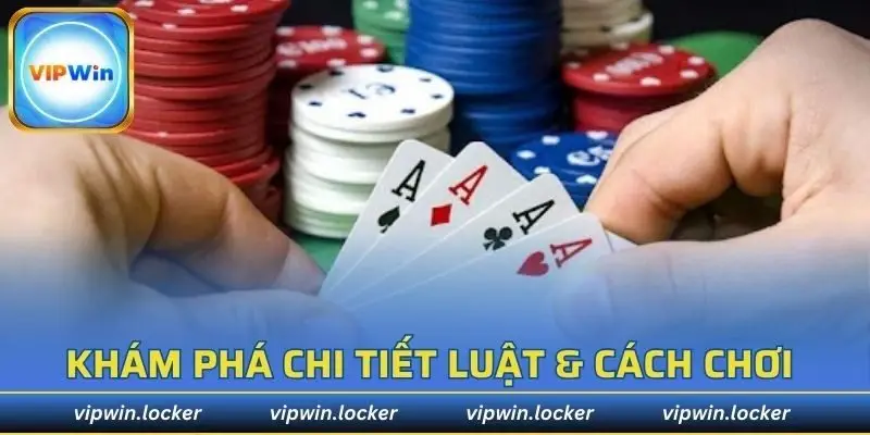 Hội viên cần biết quy tắc và cách chơi xì tố VIPWIN