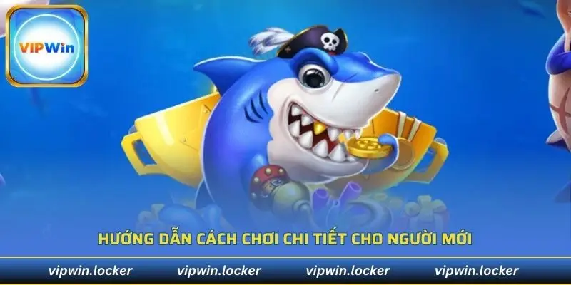 Hướng dẫn cách chơi chi tiết cho người mới