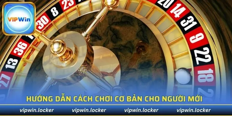 Hướng dẫn cách chơi cơ bản cho người mới