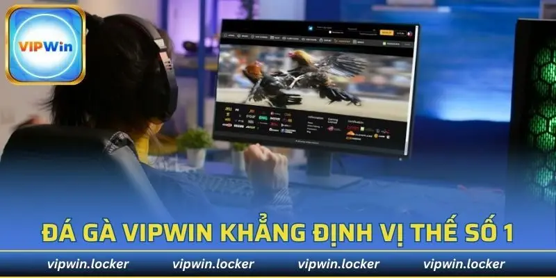 Đá gà VIPWIN khẳng định vị thế số 1 trên thị trường