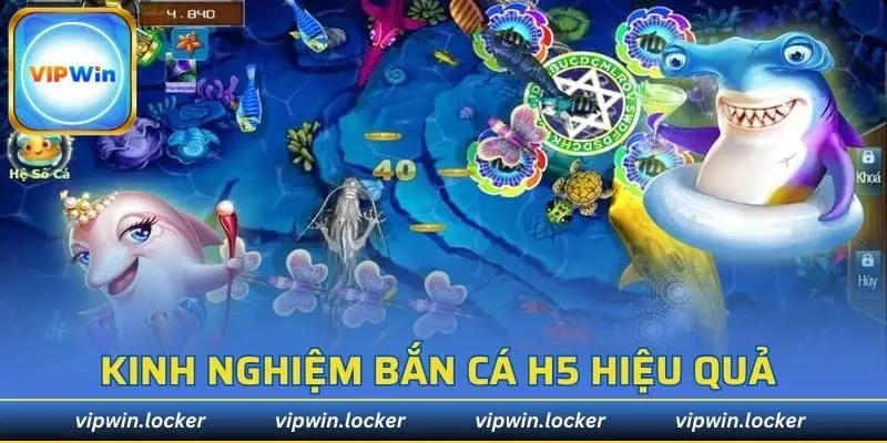 Kinh nghiệm săn mồi từ các cao thủ hiệu quả