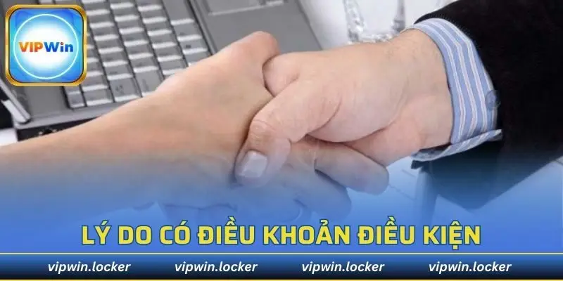 Lý do có chính sách điều khoản điều kiện