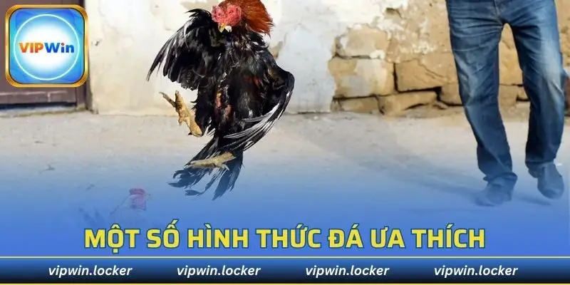 Một số hình thức đá ưa thích