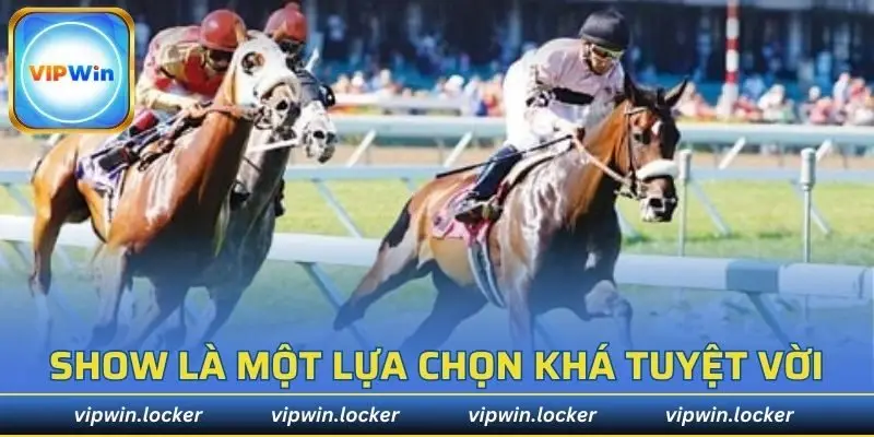 Show là một lựa chọn đua ngựa VIPWIN khá tuyệt vời
