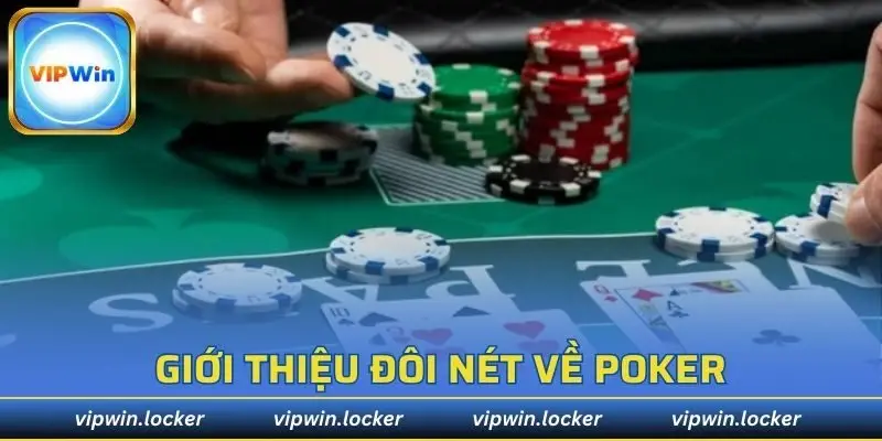 Thông tin cơ bản về chuyên mục